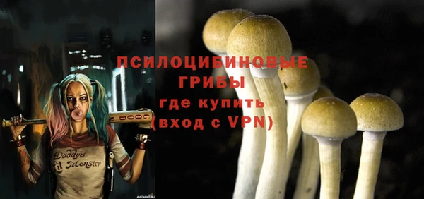 прущие крисы Верея