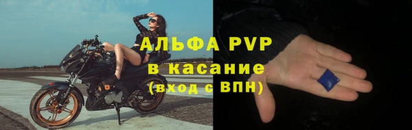 прущие крисы Верея