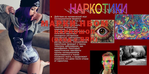 прущие крисы Верея