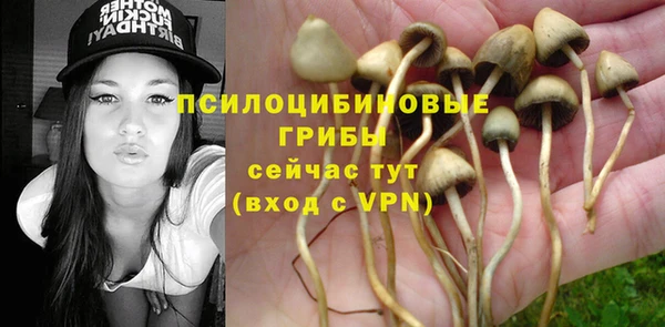 альфа пвп Верхний Тагил